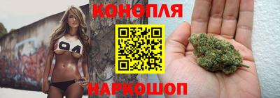 спайс Малгобек